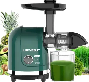 Vegetable Juicer for Celery Wheatgrass Spinach Ginger, Fruit Juicer Machines Slow Masticating Cold Press Juice Extractor Pulp Separated, Quiet Motor, Dishwasher Safe, Easy To Clean, BPA Free