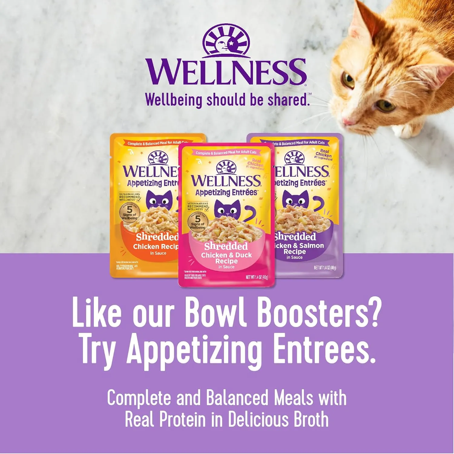 Wellness Bowl Boosters Wet Cat Food Topper, Grain Free, Natural, Flaked Tuna & Shrimp Recipe in Broth, 1.75 Ounce Pouch (Pack of 12)